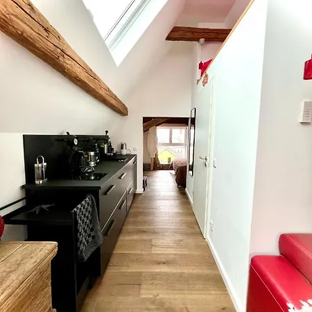 דירה Schoenster Blick Auf Oppenheim! *