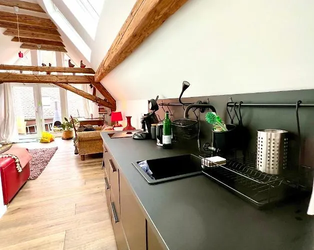 Schoenster Blick Auf Oppenheim! Appartement